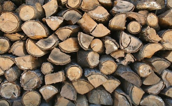 Kuru Meşe Odunu Çuval (~20 kg)